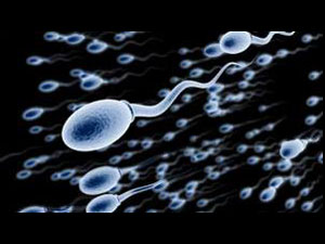 Artificial Sperm